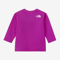 m[XtFCX THE NORTH FACE OX[uOtBbNXNGASeB[ TVc  xr[ NTB82401-DM