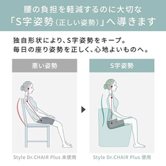 y񂹕izGeB[W[ MTG X^ChN^[`FAvX  Style Dr.CHAIR Plus   u[ N pPA BS-DP2244F-A