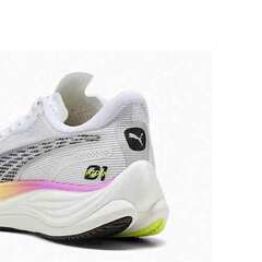 v[} PUMA fBBGCg jg 3 EKIDEN GLOW Y jOV[Y 311902-01