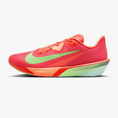 iCL NIKE Co tC 4 jO V[Y Y FV6040-600