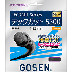 ゴーセン　GOSEN　テックガット5300　ソフトテニス　ガット　SS603-BK