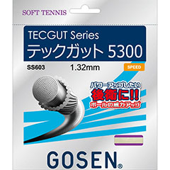 ゴーセン　GOSEN　テックガット5300　ソフトテニス　ガット　SS603-NA