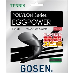 ゴーセン　GOSEN　EGGPOWER 16　テニス　硬式ガット　TS100BK