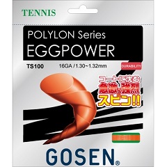 ゴーセン　GOSEN　EGGPOWER 16　テニス　硬式ガット　TS100OR