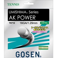 ゴーセン　GOSEN　AK POWER 16　テニス　硬式ガット　TS712W