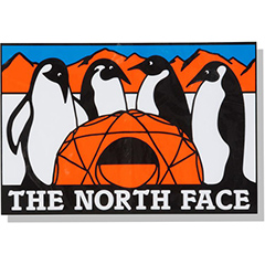 ノースフェイス THE NORTH FACE TNFプリントステッカー NN32348-AT