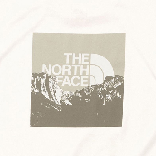 m[XtFCX THE NORTH FACE V[gX[u XNGA}EeSeB[iYjTVc NT32377-W